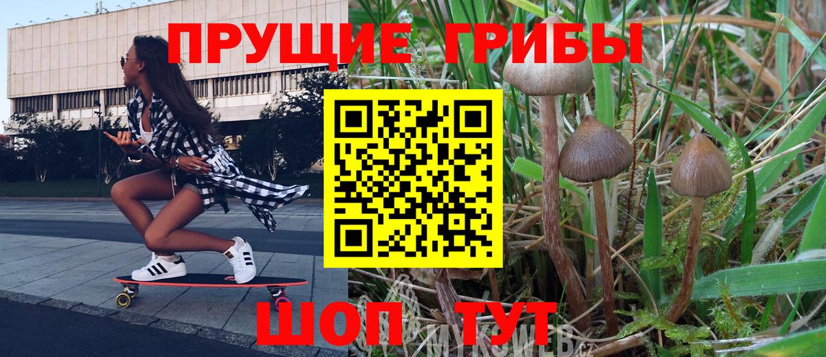Галлюциногенные грибы MAGIC MUSHROOMS Борисоглебск