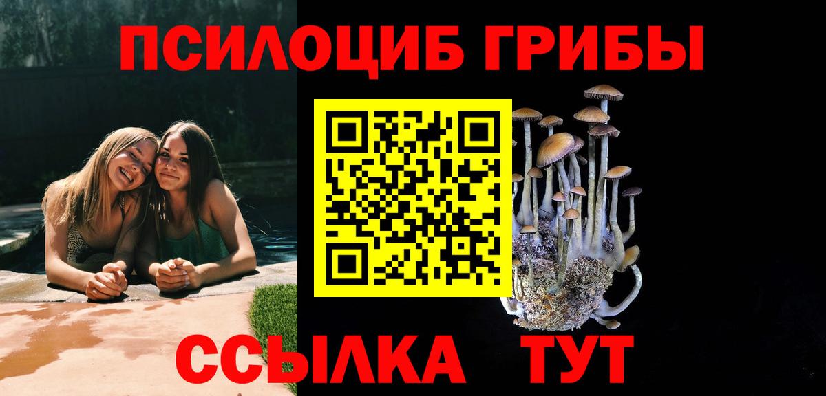 Галлюциногенные грибы Psilocybe  Псилоцибиновые грибы Psilocybine cubensis  Вход с VPN  даркнет сайт  Борисоглебск 